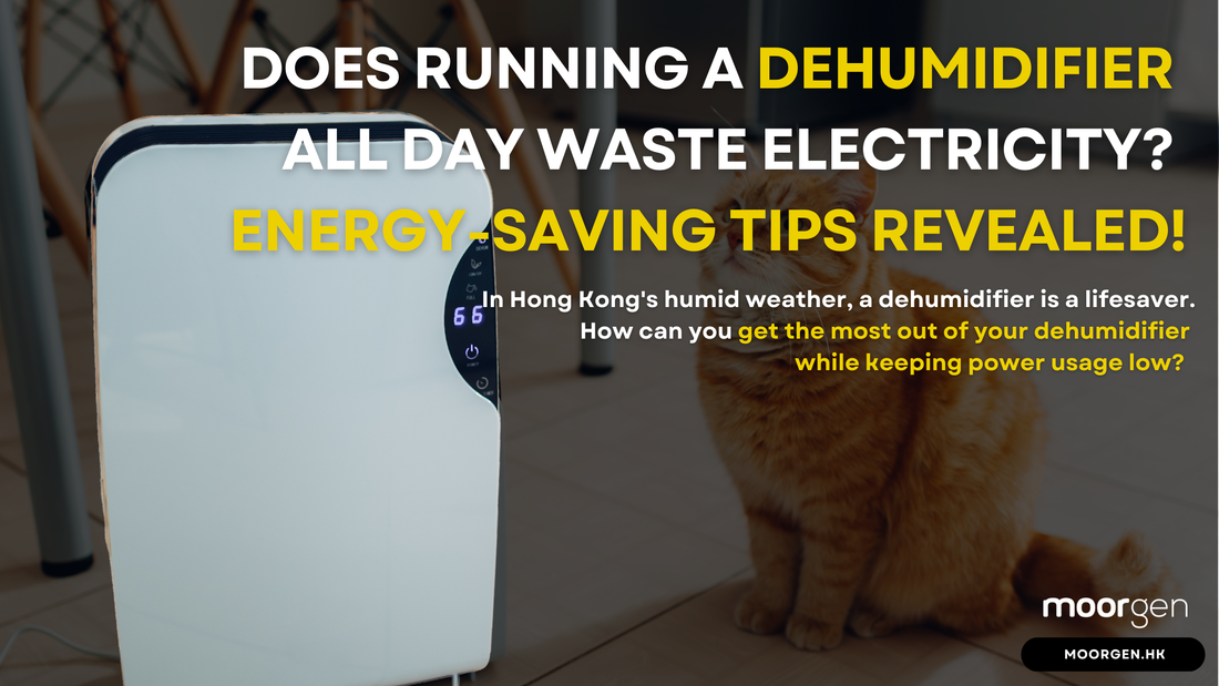 Does Running a Dehumidifier All Day Waste Electricity? Energy-Saving Tips Revealed!